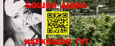 прущие грибы Ачхой-Мартан