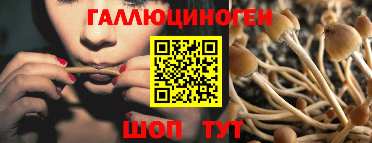 Белово  Псилоцибиновые грибы ЛСД  Вход с VPN 